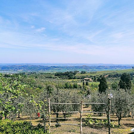 La Casina Di Colle - Appartamento Rustico Sulle Colline Di Pisa Casciana Terme Exterior foto